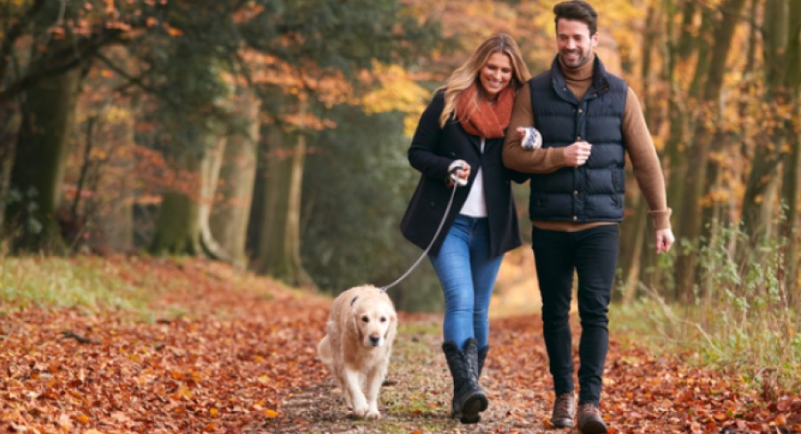 Walking For Wellness - The Simple Path To A Healthier You