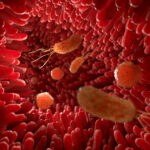 Ambleside-Chiropractic-Gut-Microbiome, Gut Health, Probiotics, Prebiotics